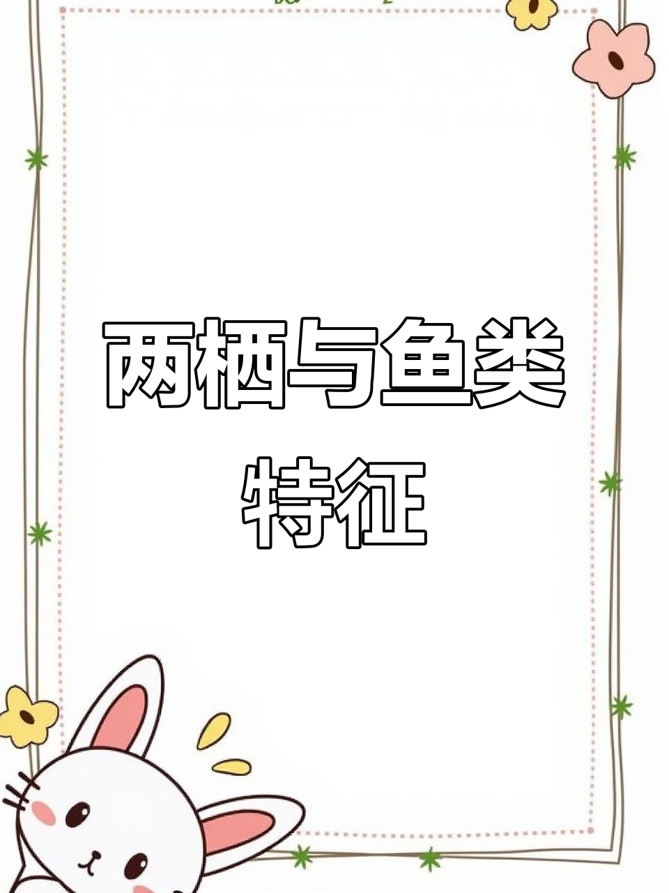 鱼和两栖动物的特征解析:从呼吸到形态结构