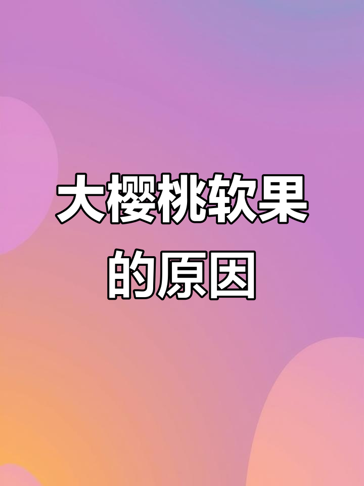 大樱桃软果原因分析,如何解决?