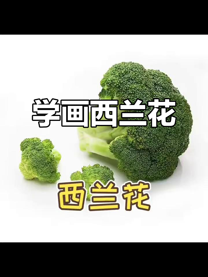 西兰花线描写生技巧，轻松掌握蔬果绘制