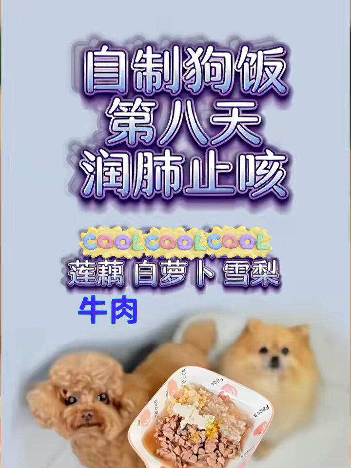 气管不好,经常咳嗽的狗狗吃什么