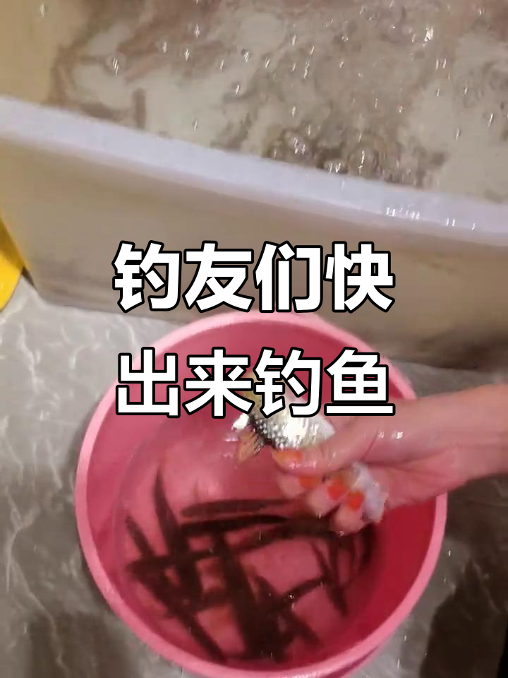 今晚钓鱼太安逸,桃花鱼和沙沟鱼都来了!