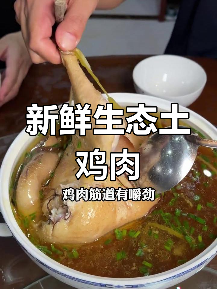 精选生态散养母鸡,黄油丰富,肉质鲜嫩不腻