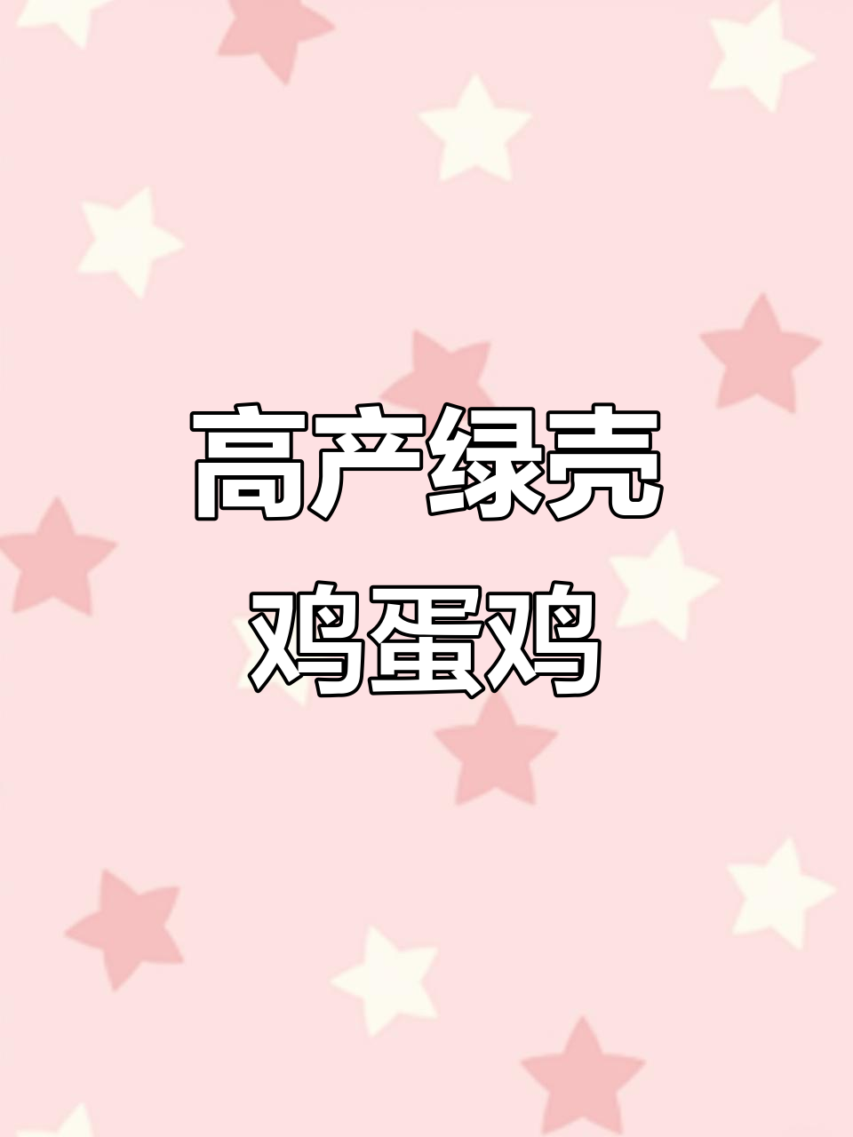 蚂蚁绿壳蛋鸡养殖,营养价值高,产蛋率惊人