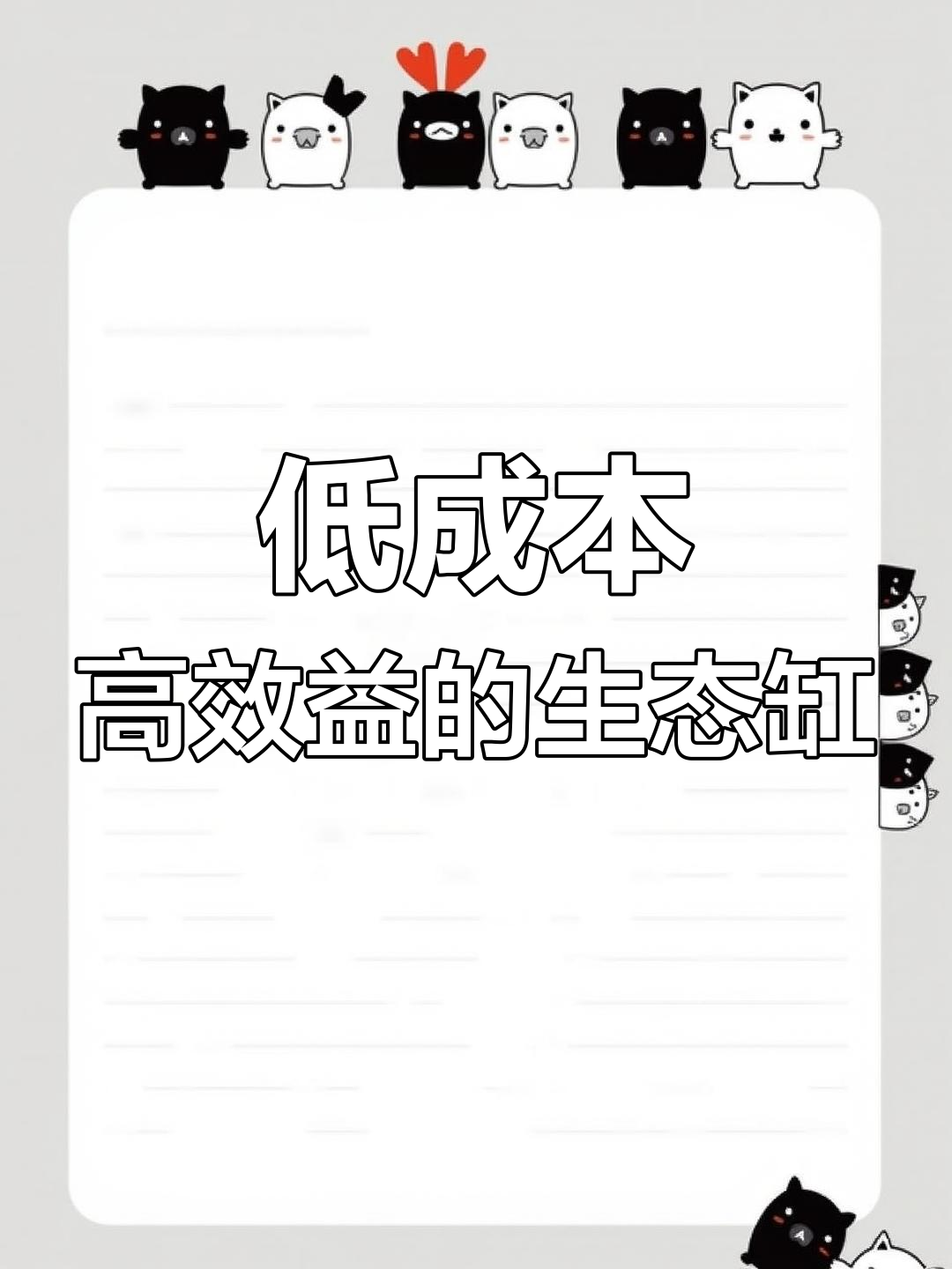 简单又便宜的生态缸,竹节草轻松繁殖黑壳虾