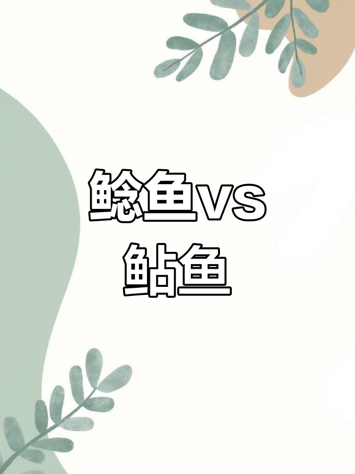 鲶鱼和鲇鱼的那些事儿:区别与文化差异