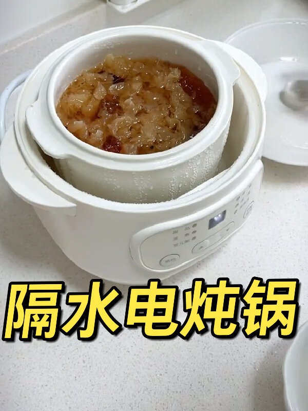 隔水电炖锅 炖汤锅 大牌同款 只要49.9