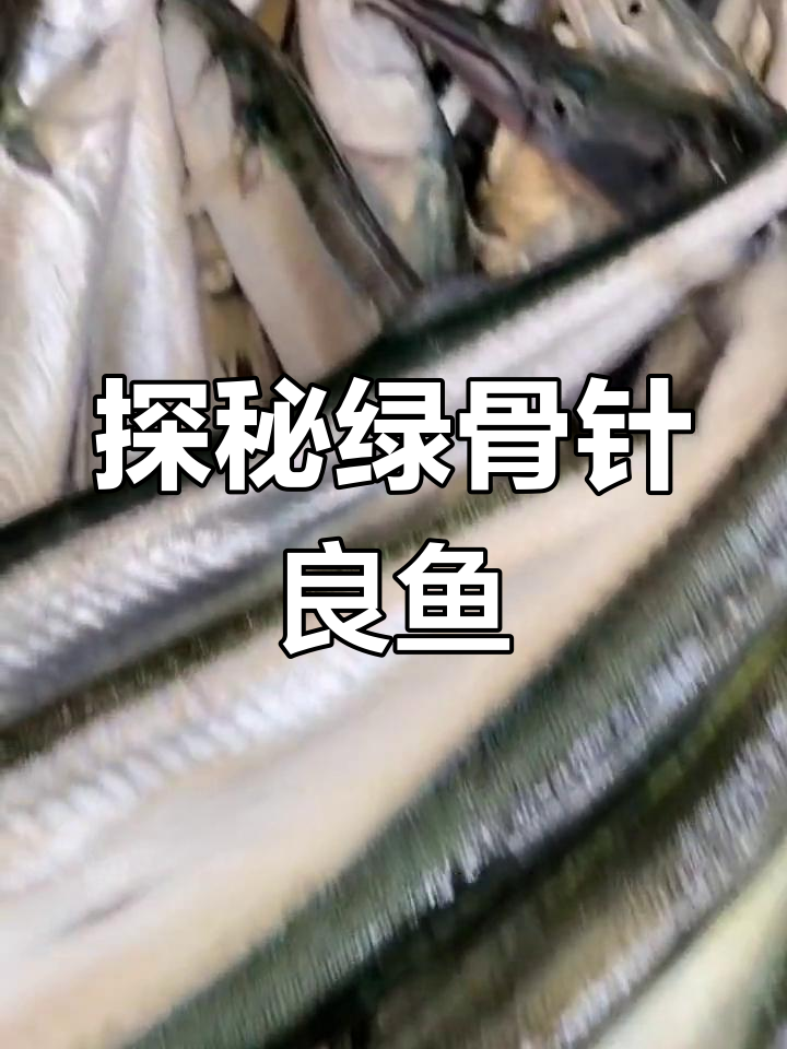 绿色骨头鱼,你敢尝试吗?