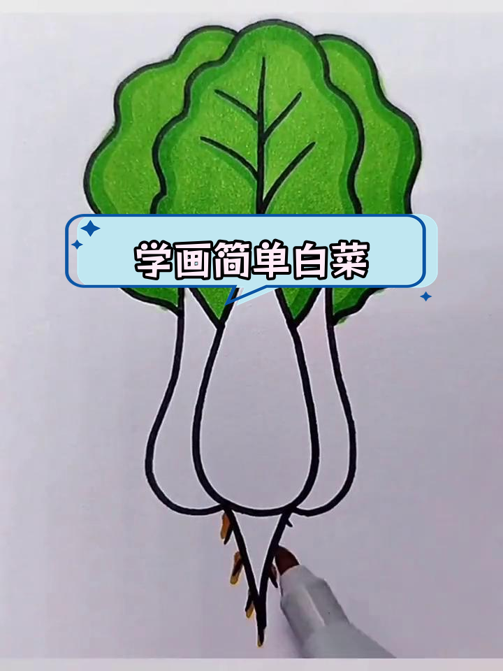 零基础学画白菜,轻松掌握简笔画技巧