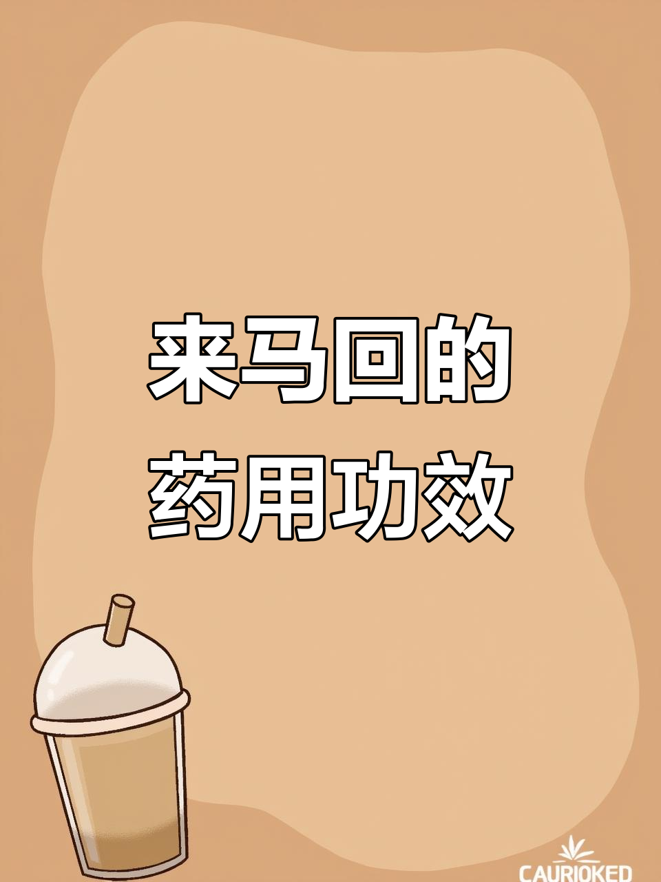 来马回:从瓜子金到立马回,民间本草的神奇作用