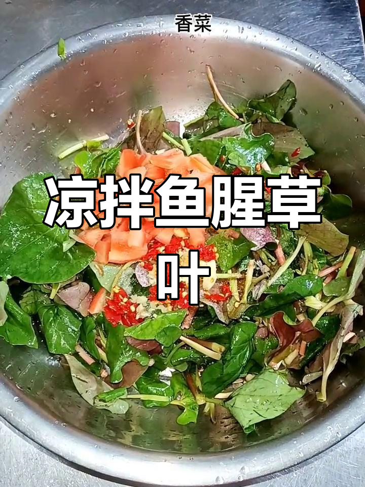 腾冲特色凉拌鱼腥草叶,开胃美味不容错过