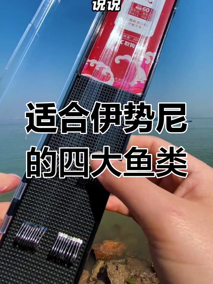 伊势尼鱼钩钓大鱼的四种选择,鲤草青鲢都能用