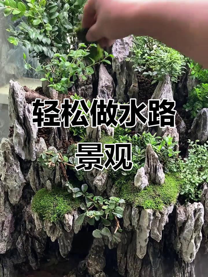 水陆缸造景全攻略,打造青峰峡谷景观