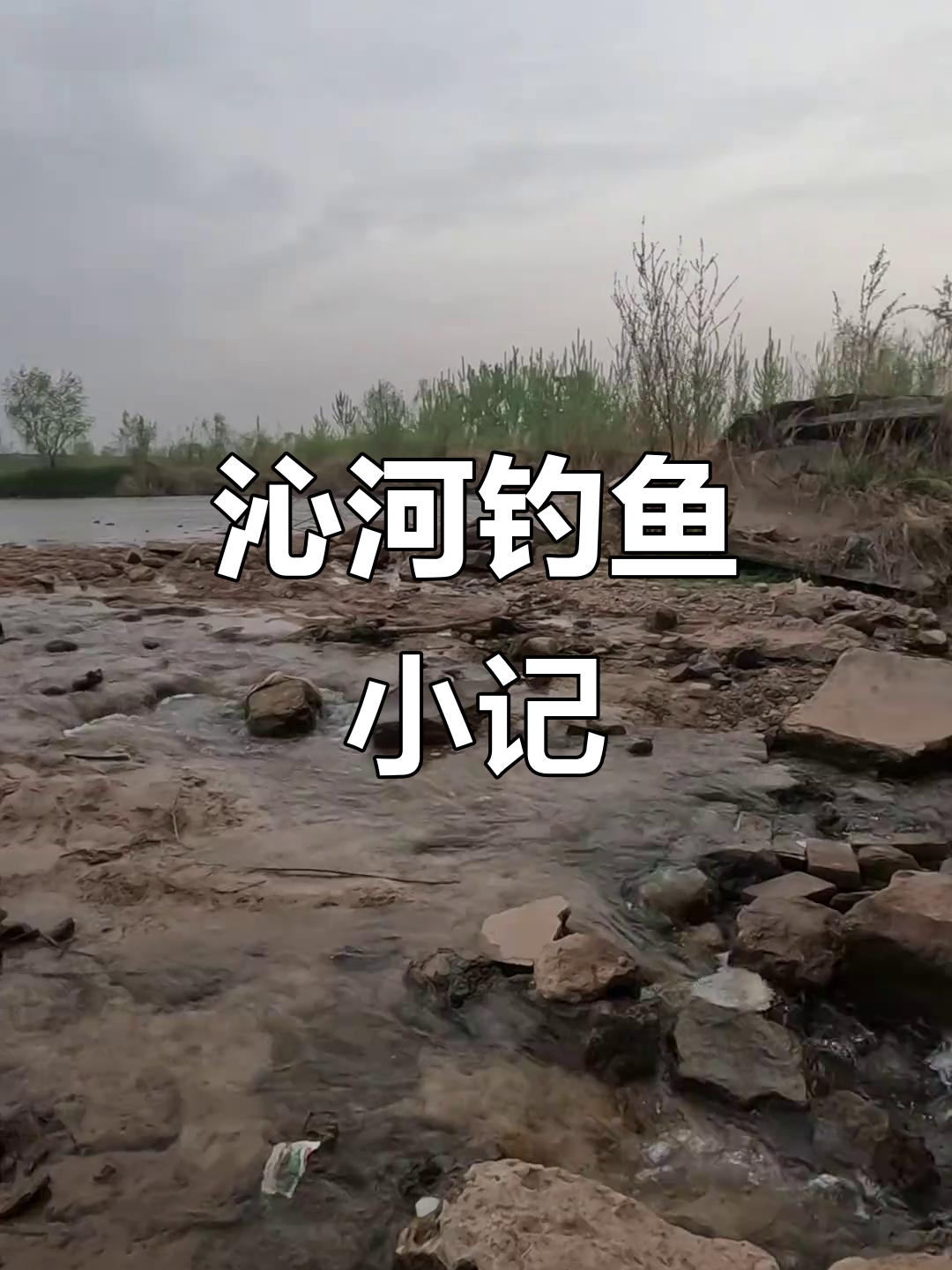 沁河钓鳜鱼,风大注意安全!