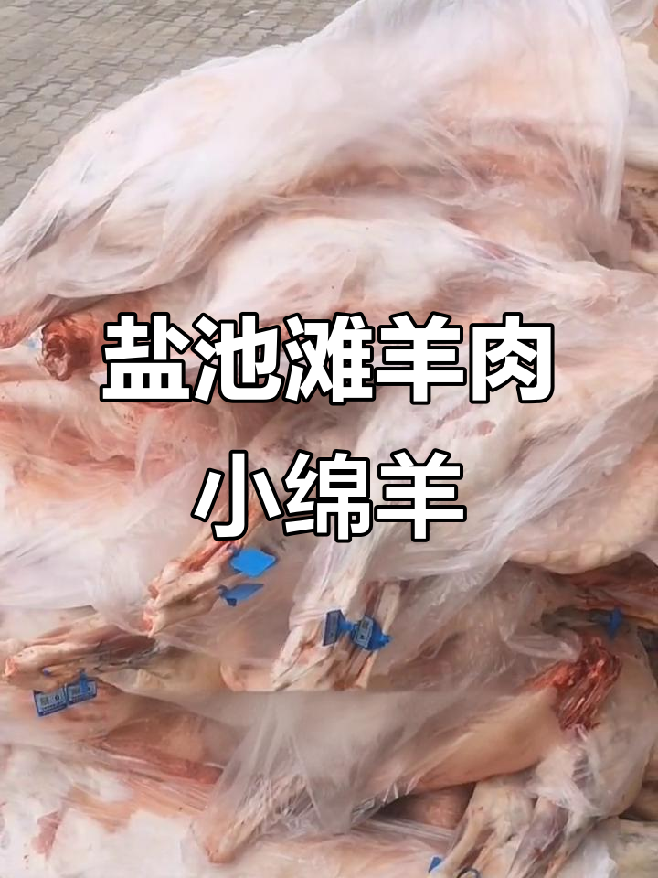 宁夏盐池滩羊肉,小绵羊新鲜到货,品质上乘