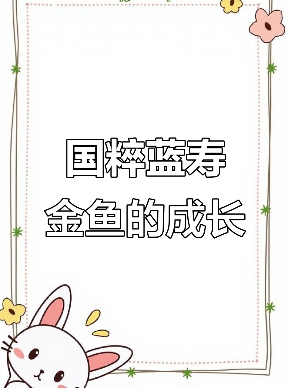 蓝寿金鱼：从虎头鲸到国兽的演变与鉴赏