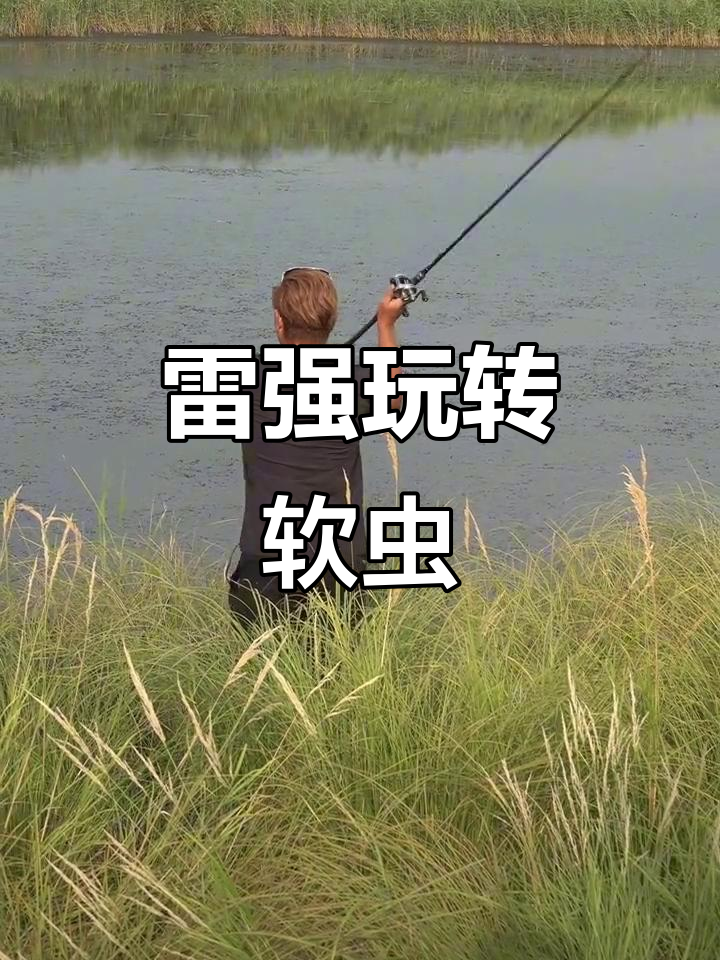 雷虫诱飞鱼,软虫巧妙降低警惕
