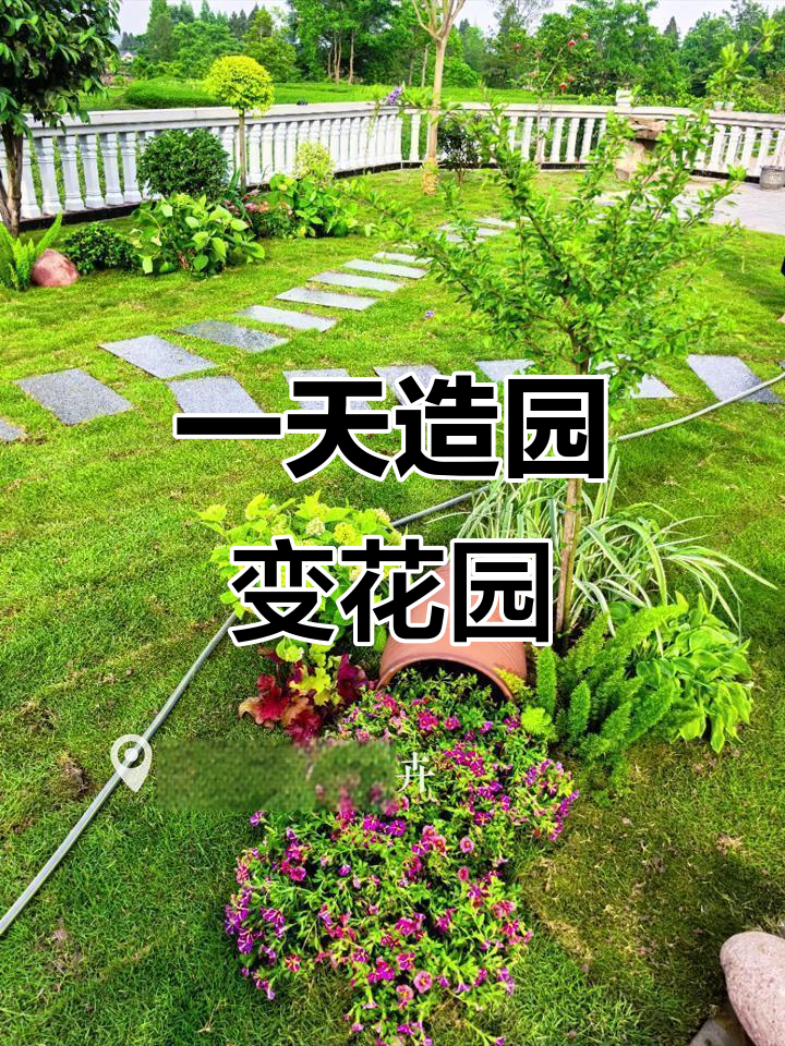 从荒地到花园,一天打造多肉植物景观