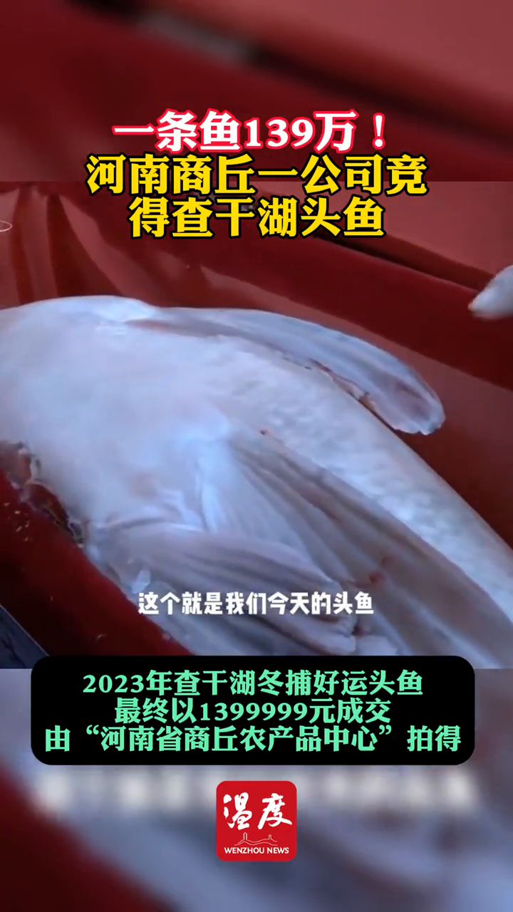 一条鱼139万!河南商丘一公司竞得查干湖