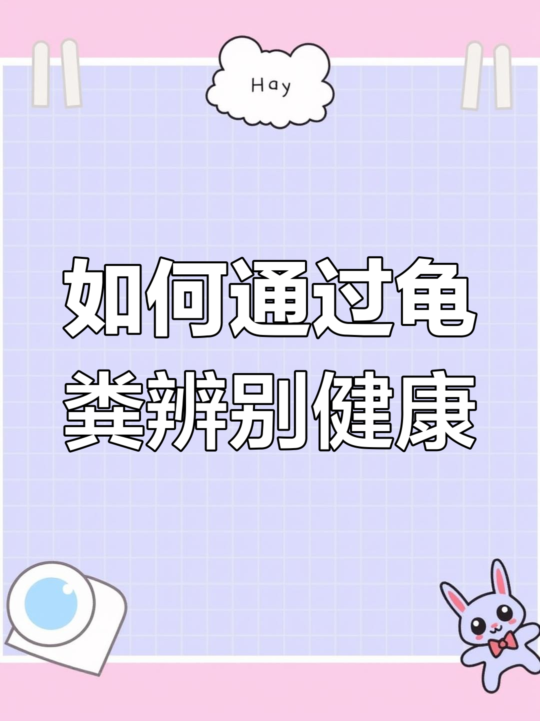 乌龟粪便颜色判断法,肠胃炎、消化不良一招搞定