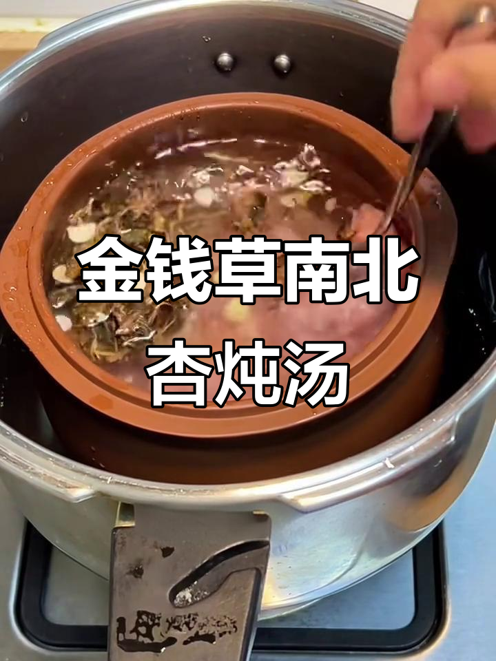 止咳化痰汤：金钱草、南北杏与瘦肉煲出美味