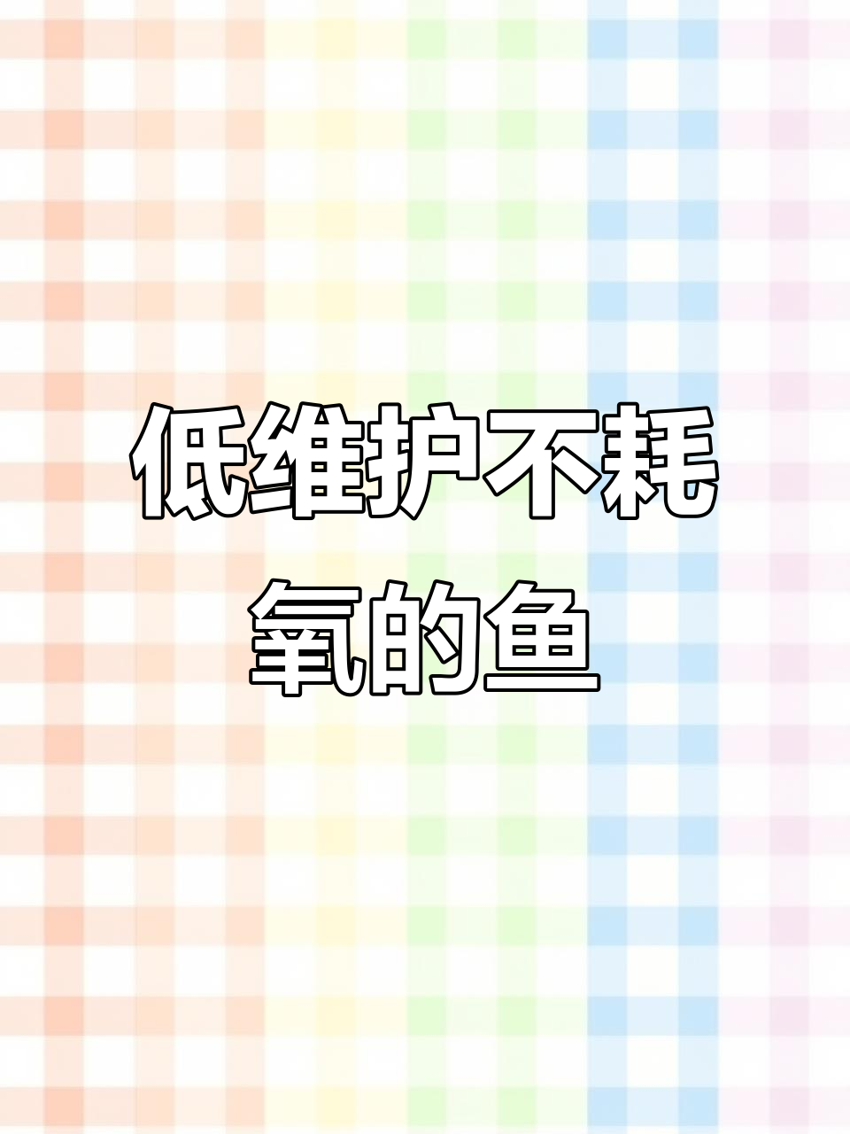 适合新手的低维护鱼种,轻松养活无需打氧