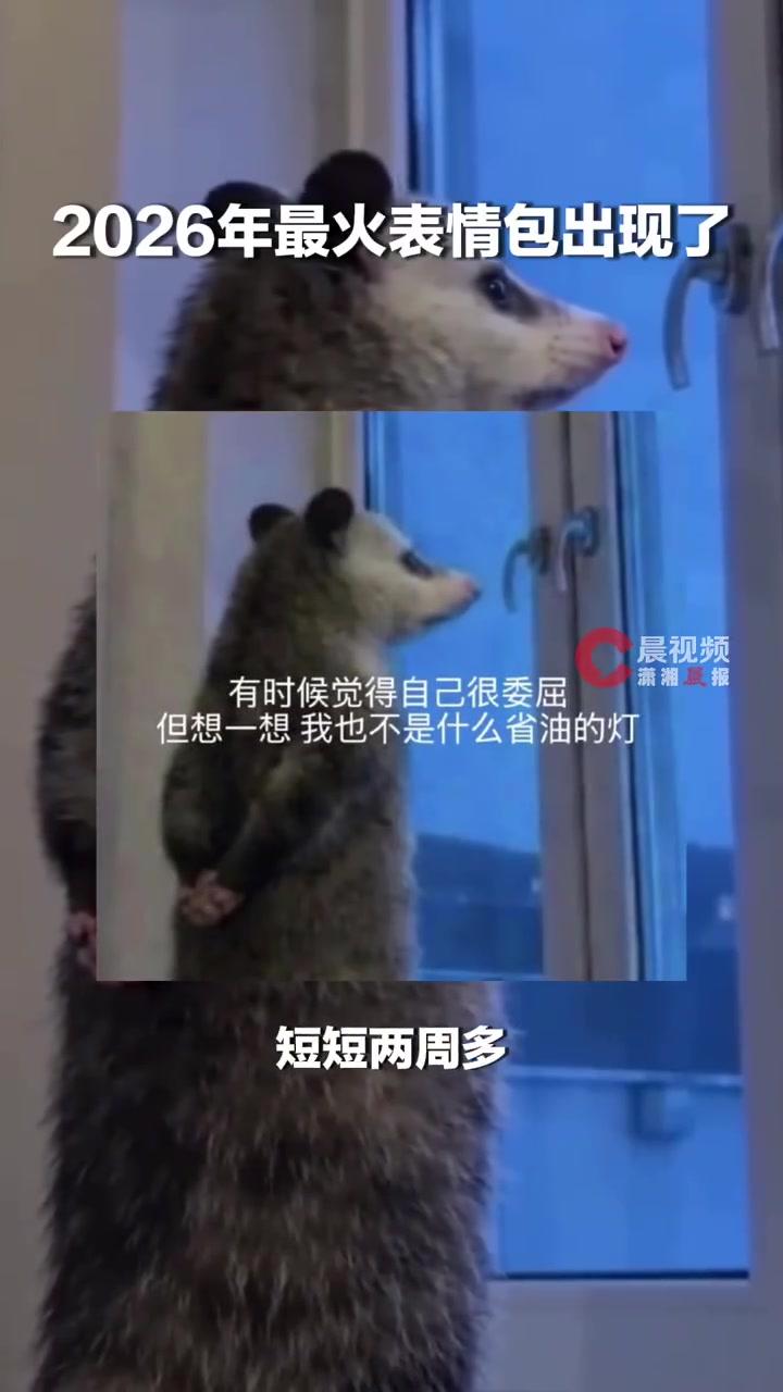 2026年最火表情包出现了