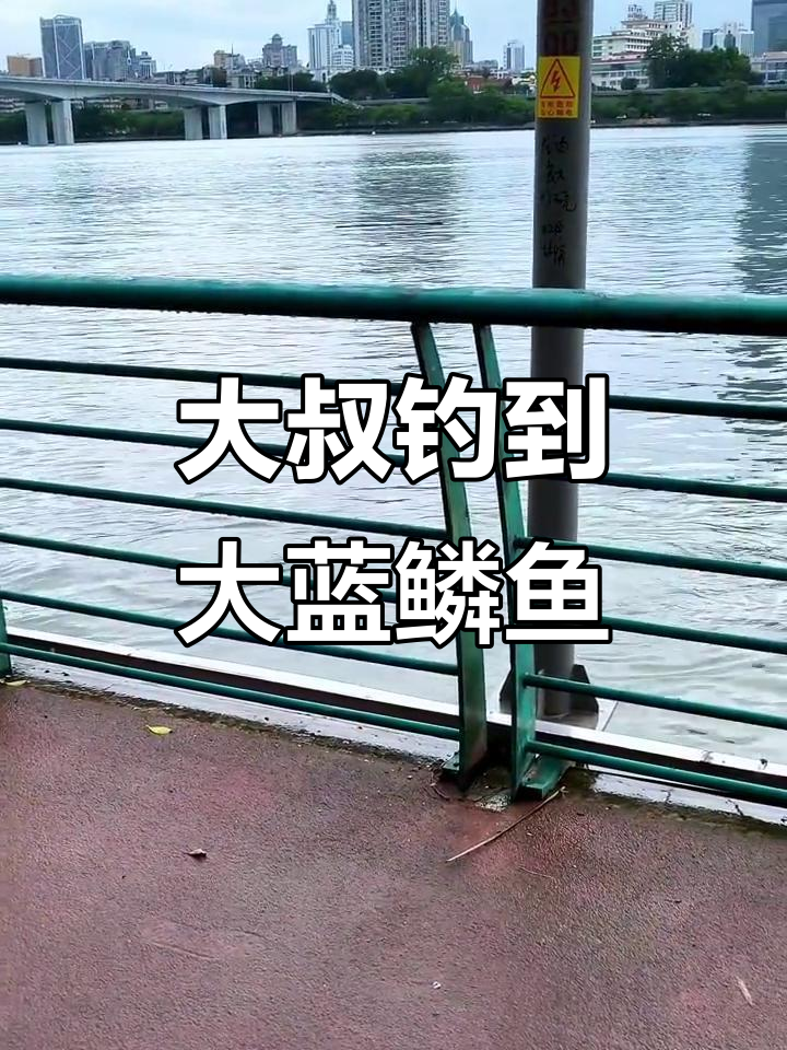 柳江河边大叔钓获大鱼,鳞片竟是蓝色!