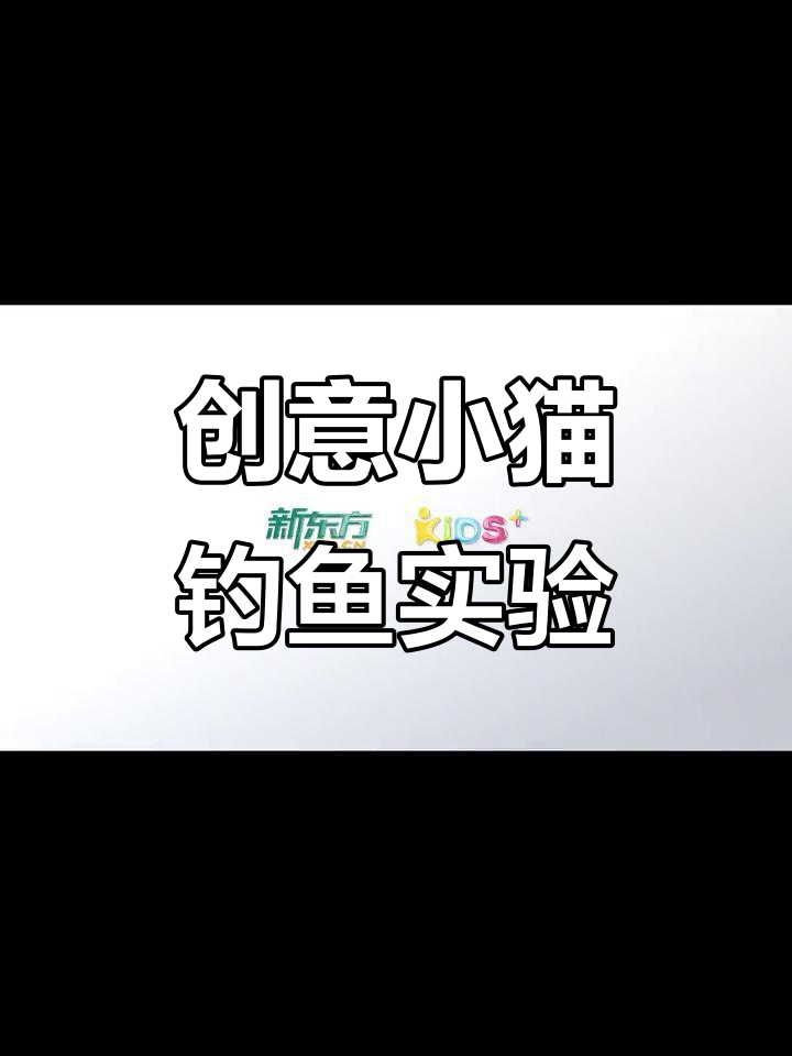 小猫钓鱼实验:磁铁的神奇吸引力,锻炼孩子动手能力和观察力