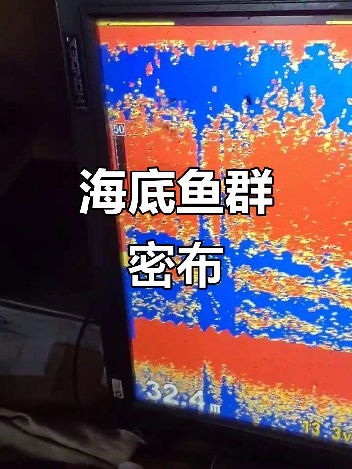 深海探鱼器揭秘:海底32米处,鱼群密度惊人