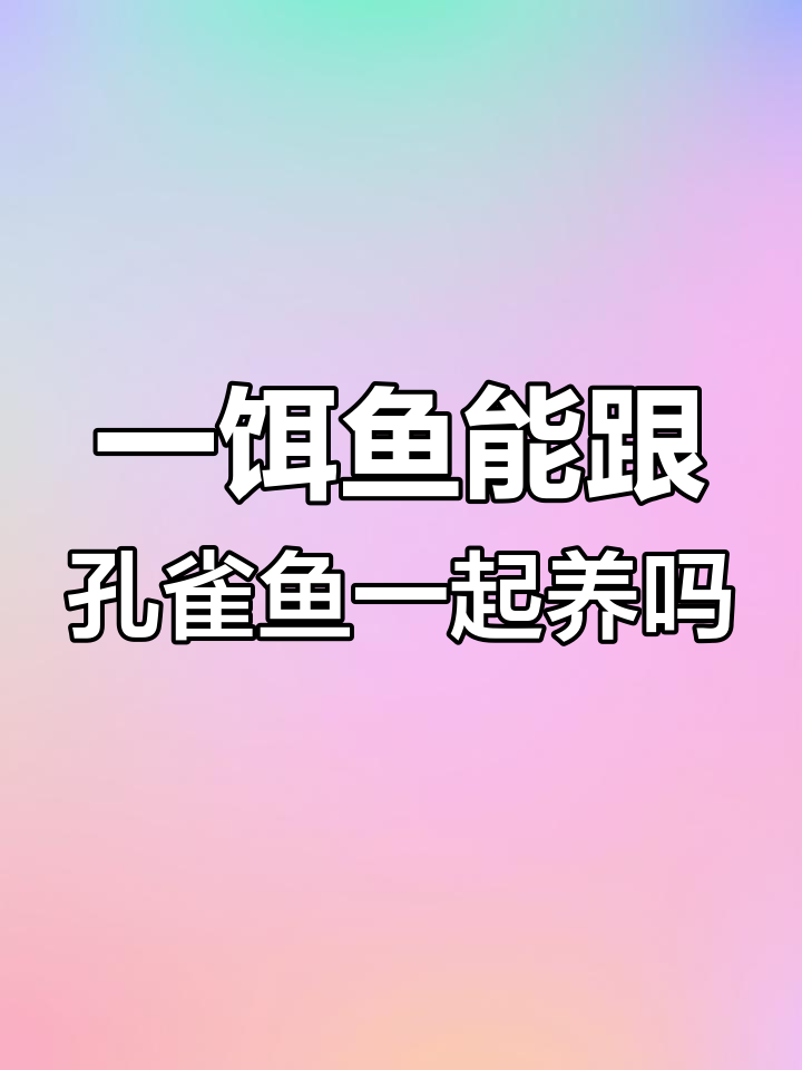 孔雀鱼与燕鱼的混养技巧:不同阶段的最佳搭配