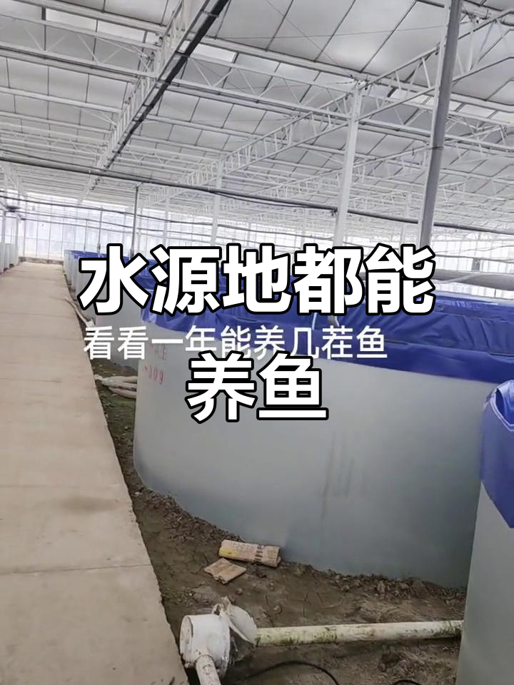 无论南北，有水源就能养鱼！大棚养殖技巧大揭秘