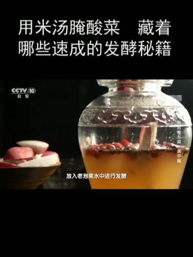用米汤腌酸菜 藏着哪些速成的发酵秘籍