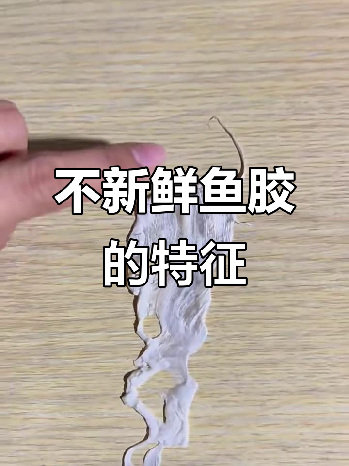 为什么不能买没有造型的鱼胶?揭秘原因和影响
