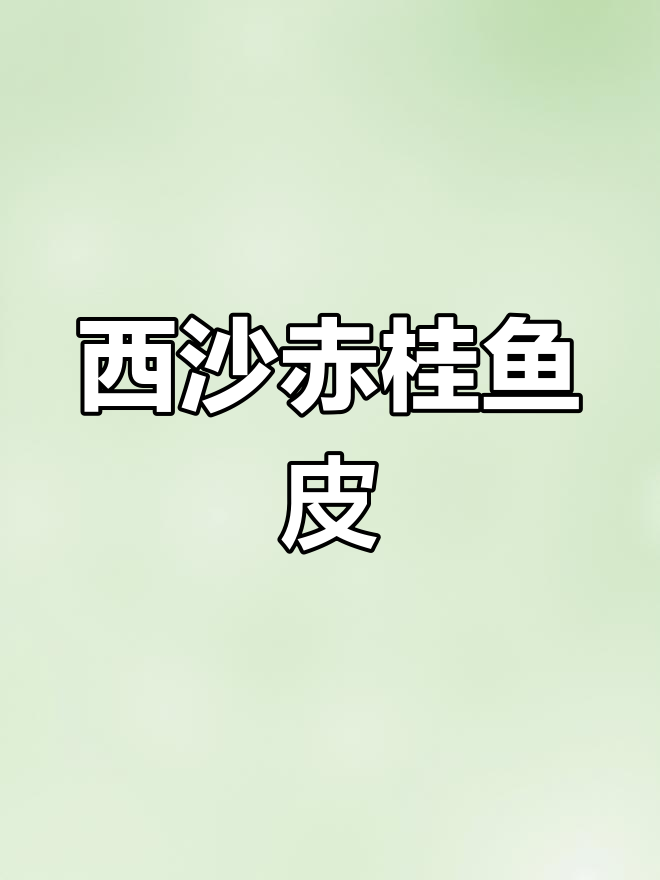 海南西沙群岛的奢华鱼皮,刺鲍鱼的独特制作工艺
