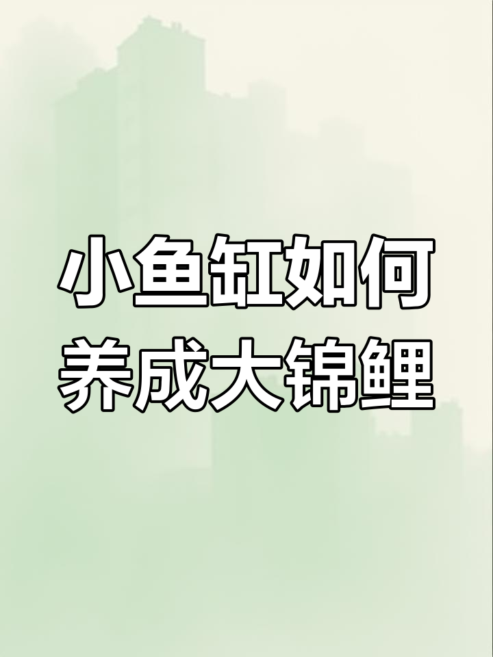 小鱼缸也能养大锦鲤,秘诀竟是这些!
