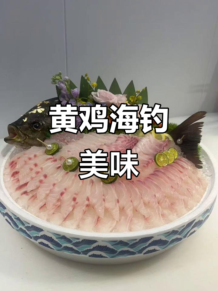 东海钓口刺身鱼，黄鸡海钓的独特风味