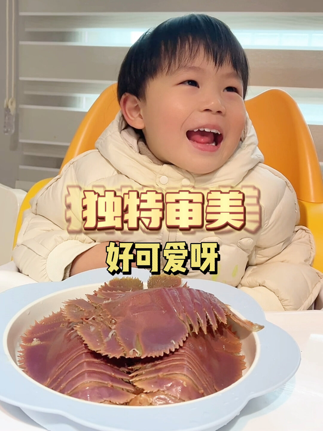 幼崽的独特审美:琵琶虾好可爱呀