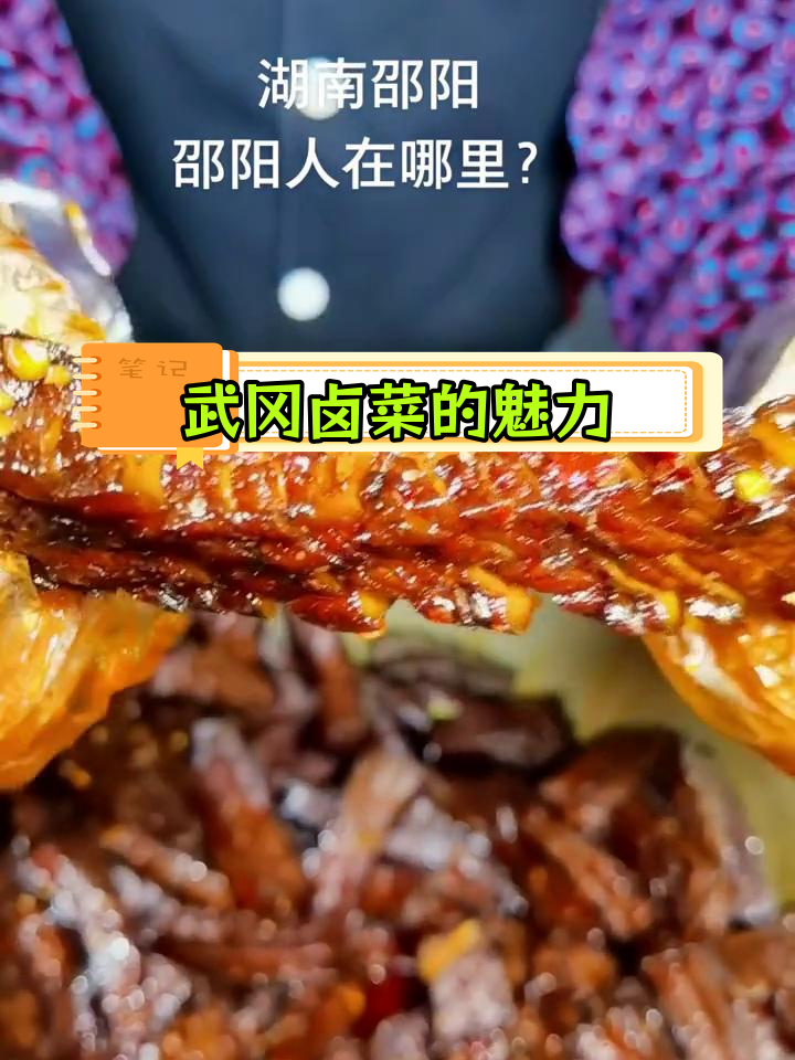 邵阳卤菜美味探享