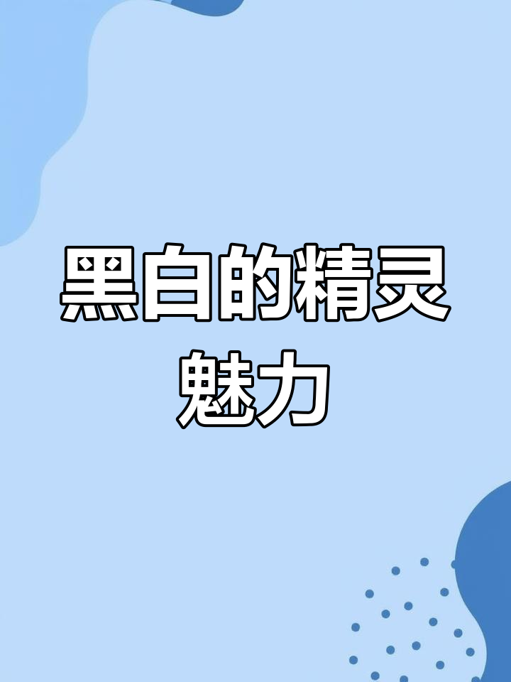 口袋妖怪黑白:艺术之美