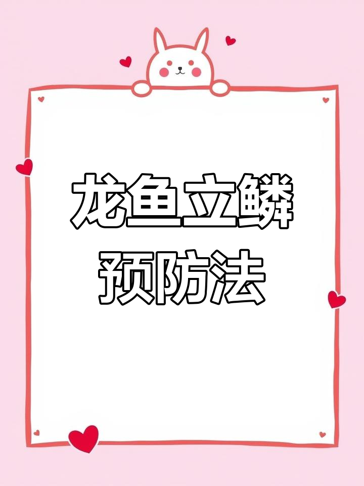水质管理是关键,定期换水预防龙鱼立鳞