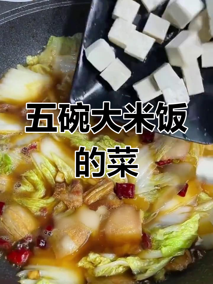 猪肉炖豆腐粉条的家常做法,五碗饭的菜