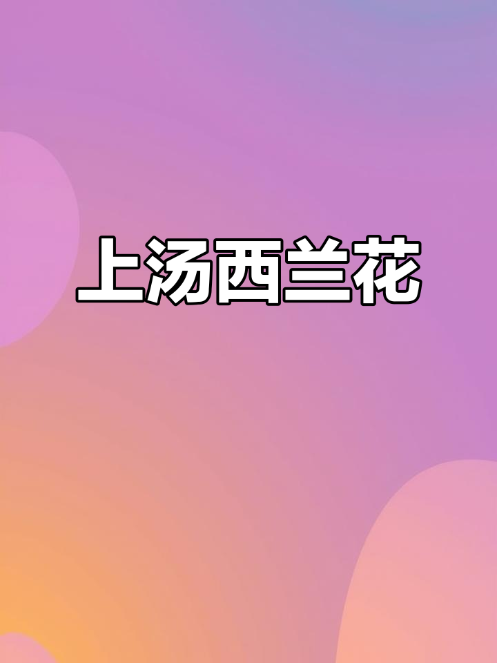 西兰花上汤做法，简单又美味