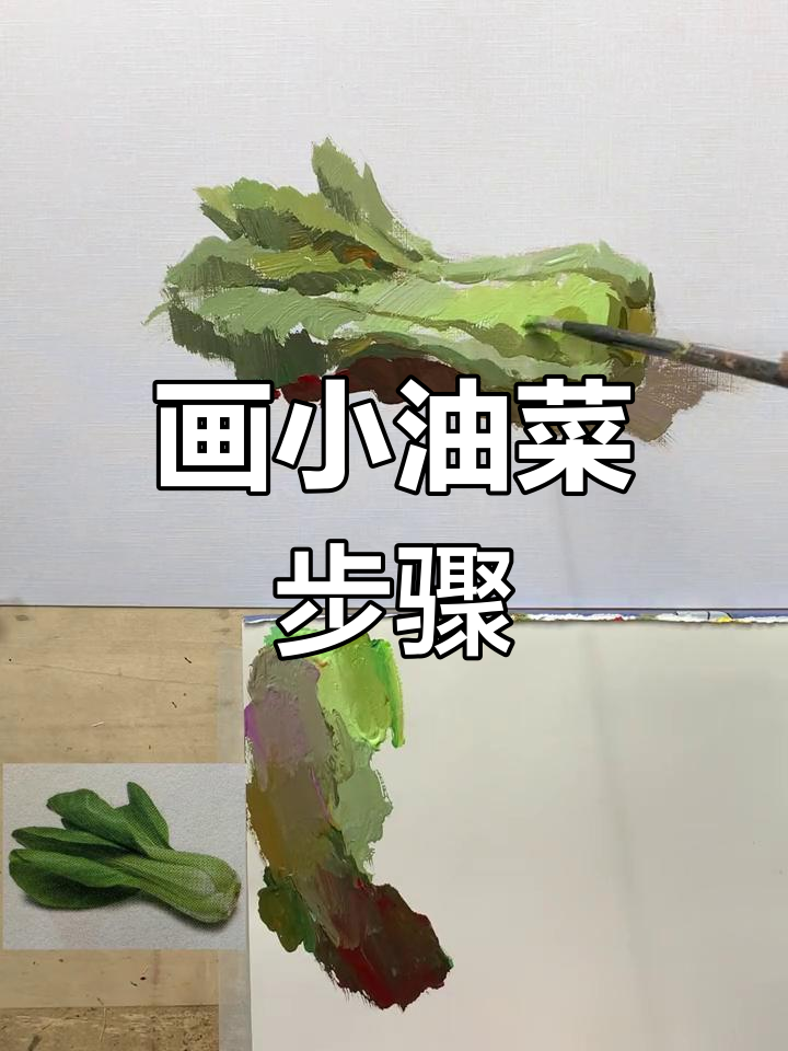小油菜色彩静物绘制技巧
