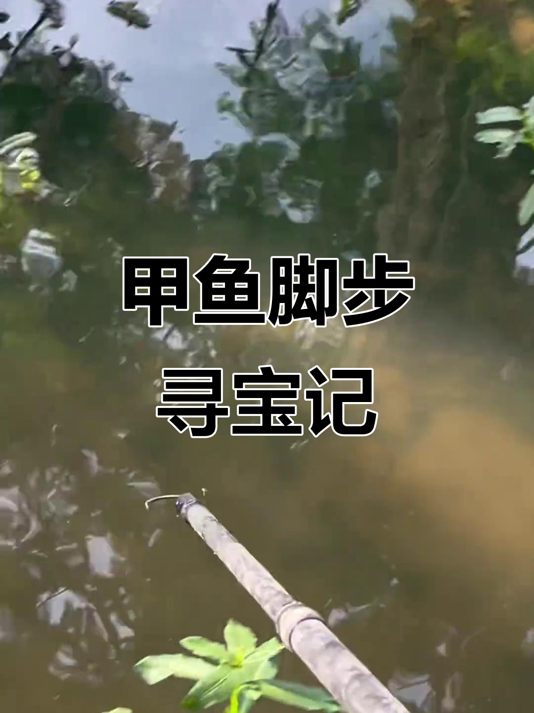 甲鱼脚印大揭秘,跟着它走竟然能找到这些宝贝!