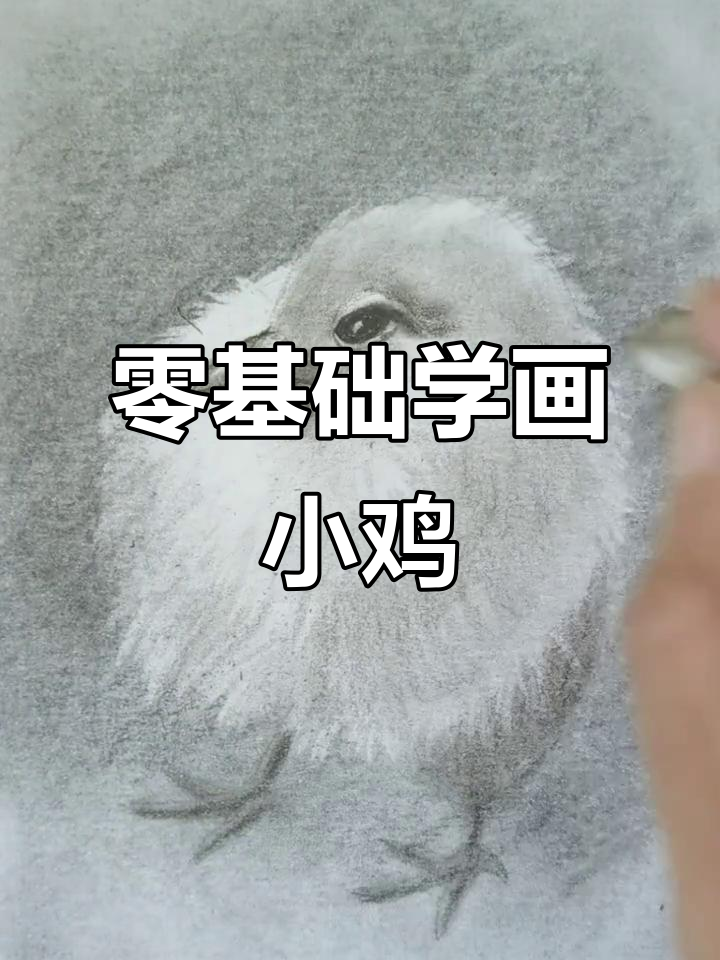 从零开始学画画,先画小黄鸡再挑战其他!