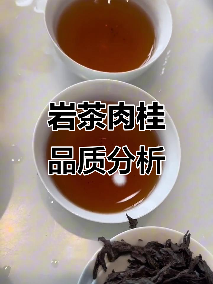 武夷岩茶肉桂品种审评:香气与口感全解析