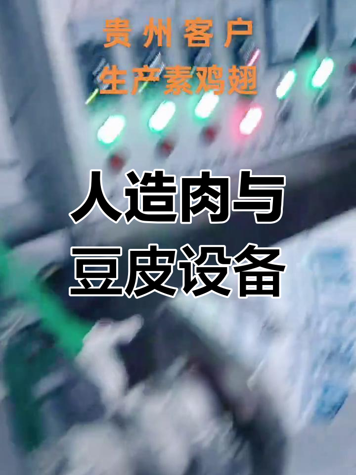 贵州毕节人造肉机与豆制品设备全套展示
