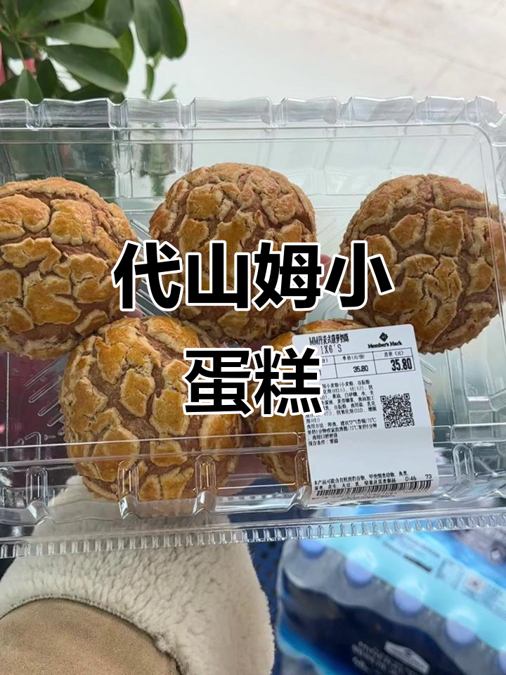 崇阳代山姆的甜蜜小蛋糕,日常美味分享