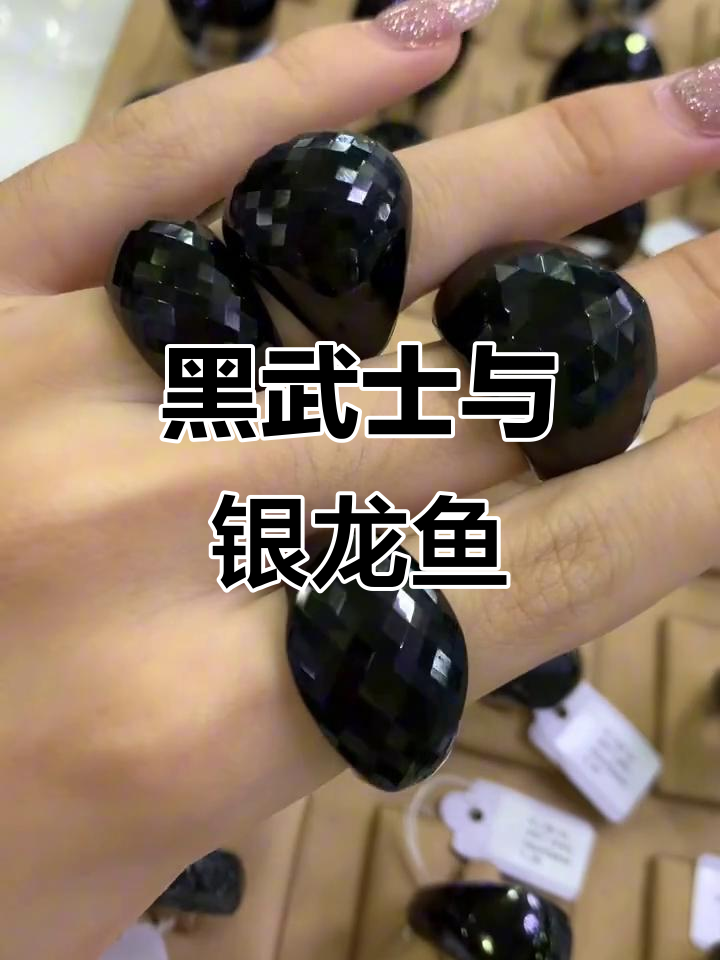 泰国黑武士与银龙鱼的奇妙邂逅,办公室里的神秘笔触