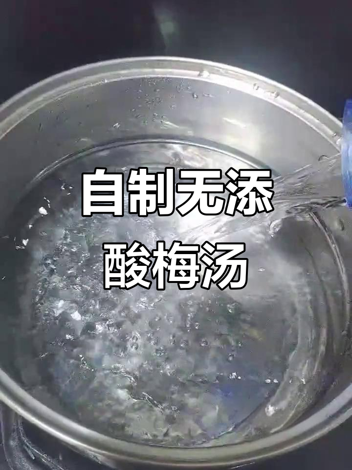 纯手工酸梅汤,无添加更美味